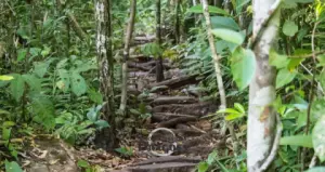 Fim de ano em Pirenópolis: Explore as Cachoeiras dos Dragões