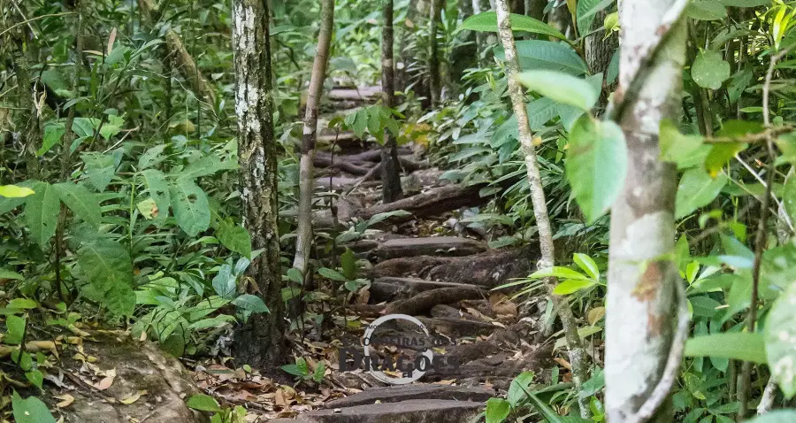 Melhores meses para visitar Pirenópolis Goiás - Março, Abril e Maio